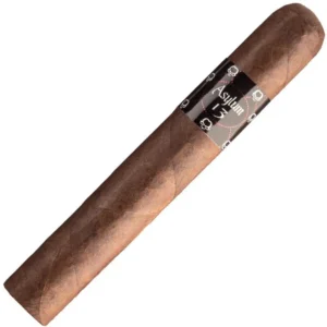 Asylum 13 Toro Gordo 6 x 60